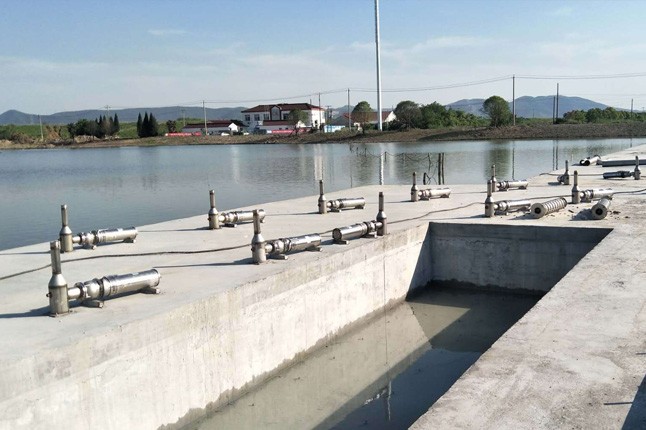 安徽巢湖市QSP不锈钢喷泉潜水泵安装就位